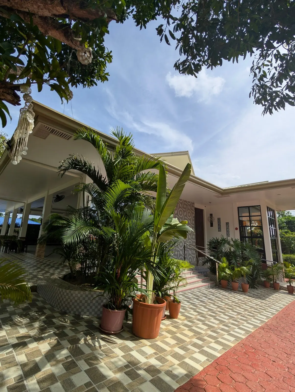 The covered entrance lined with palms and potted plants
