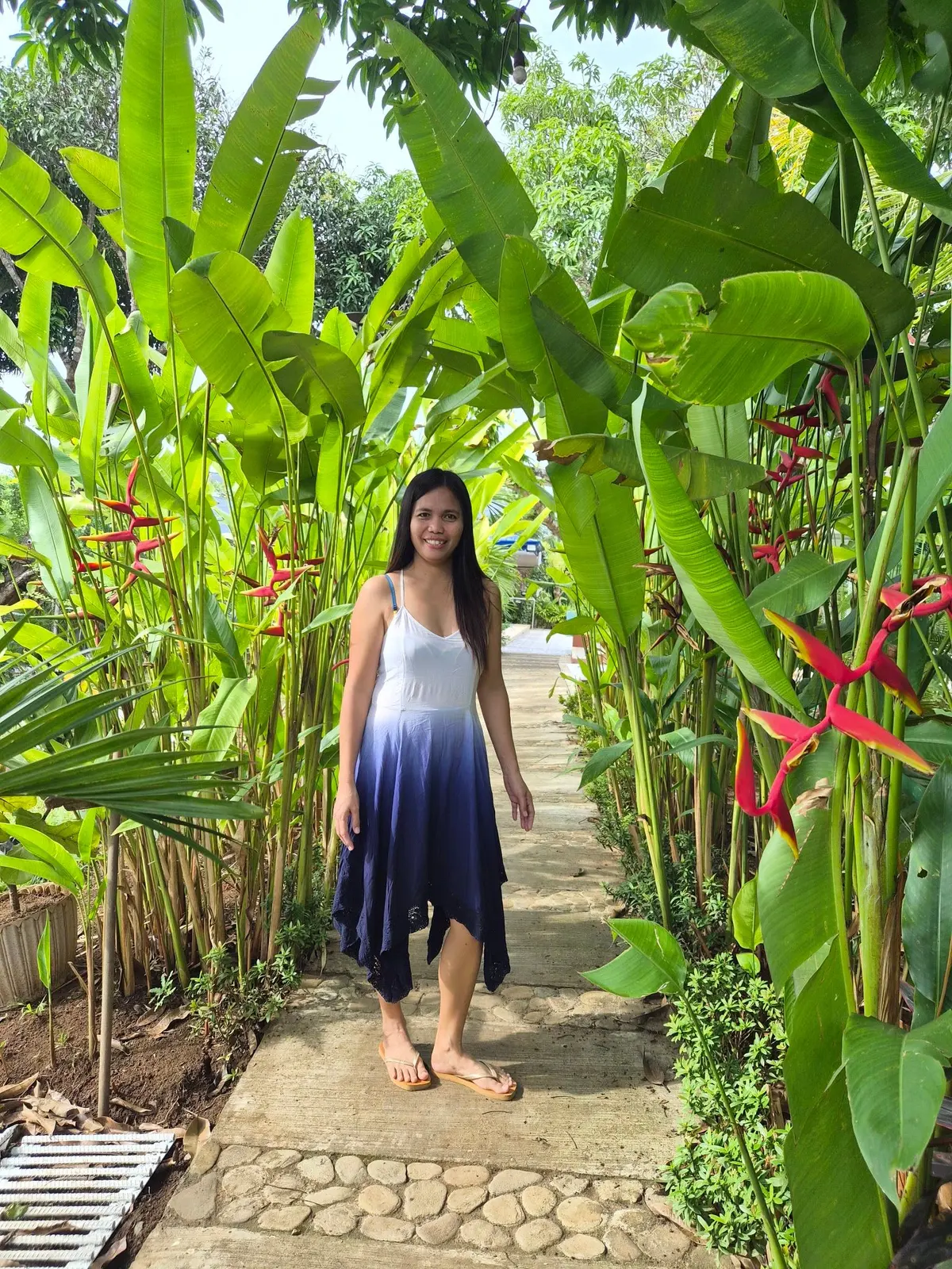 A garden path under banana leaves and red heliconia